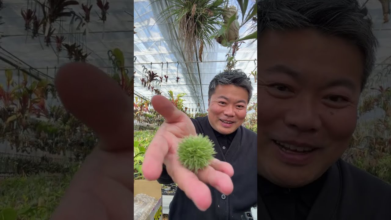 撮影終わり