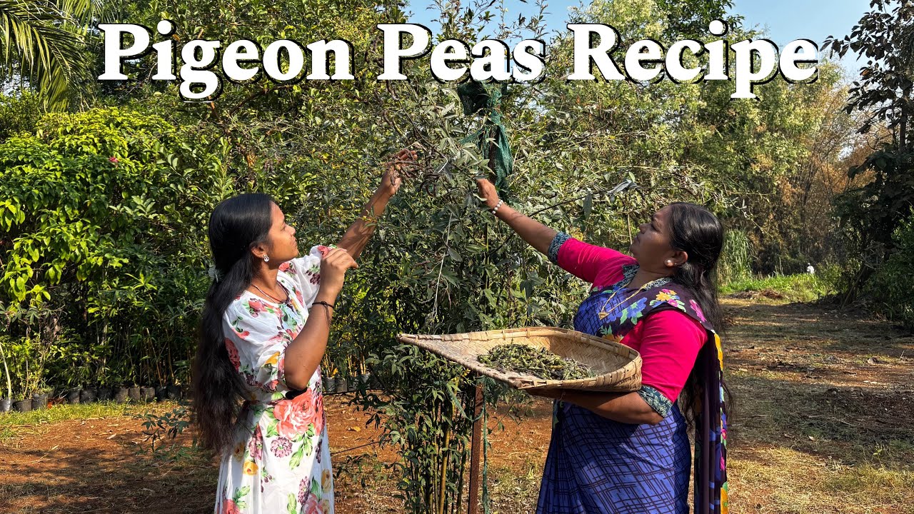 Pure Desi Lifestyle | Green Pigeon Pea ki Sabji aur Haath ki Roti | Healthy Village Food