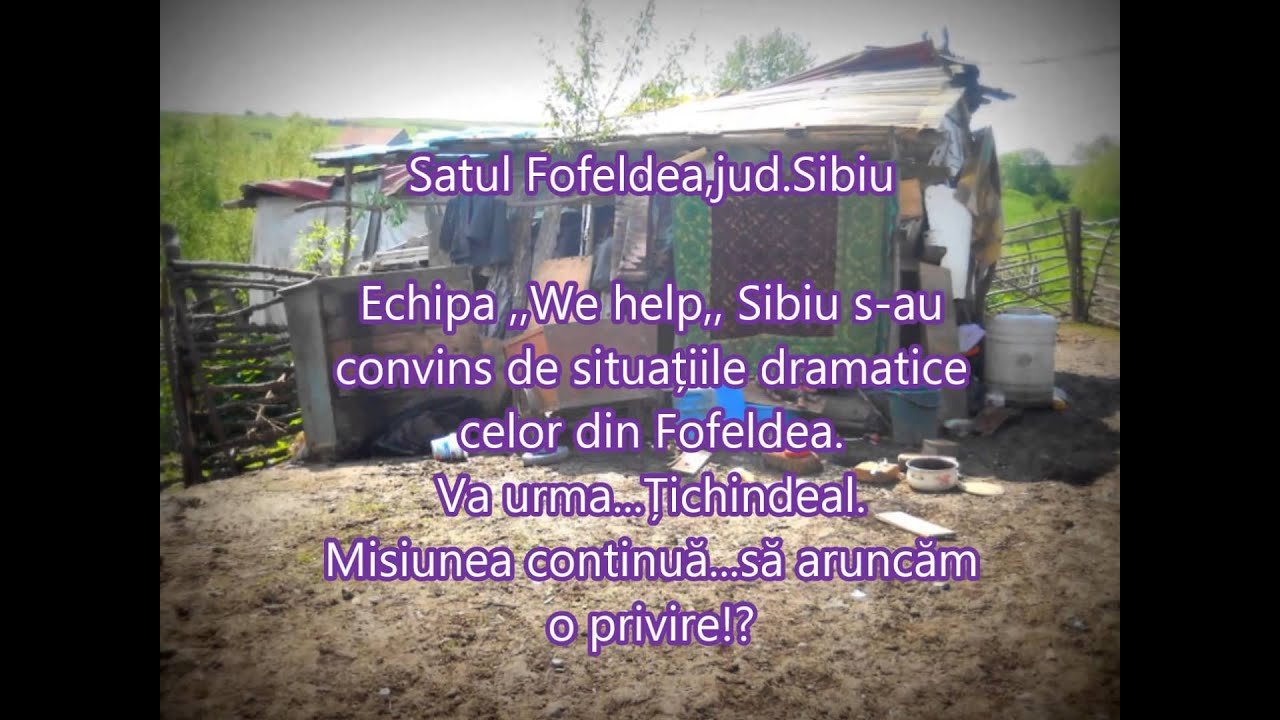 Zâmbet de primăvară ,,We help,, Sibiu 2014