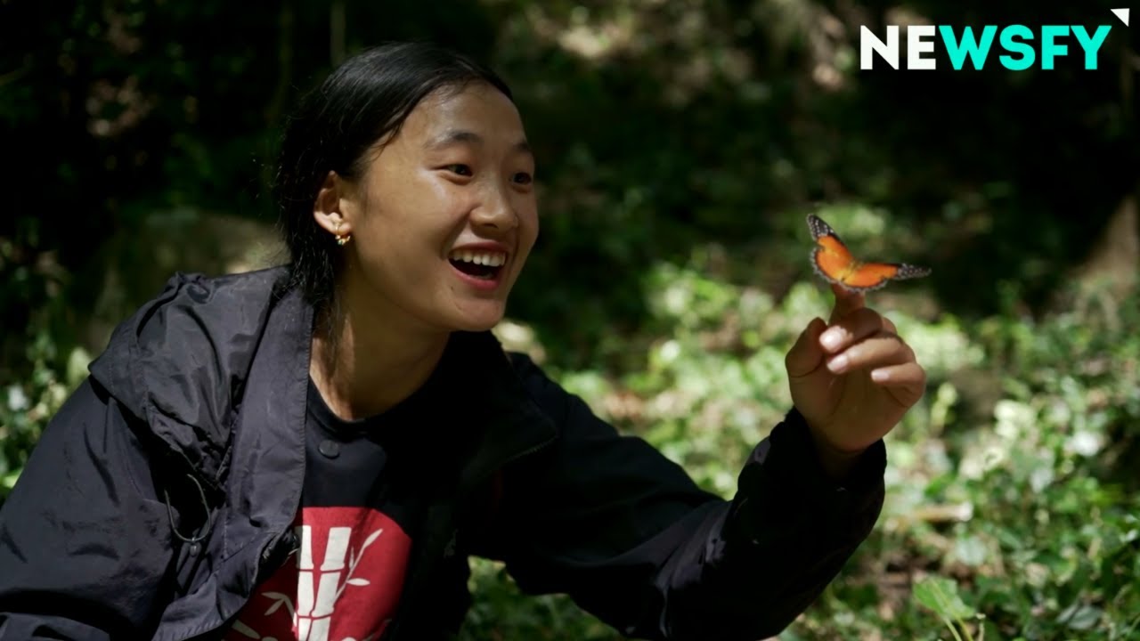 Wings of Wonder: Wakro Butterfly Meet unfolds at Kamlang Reserve
