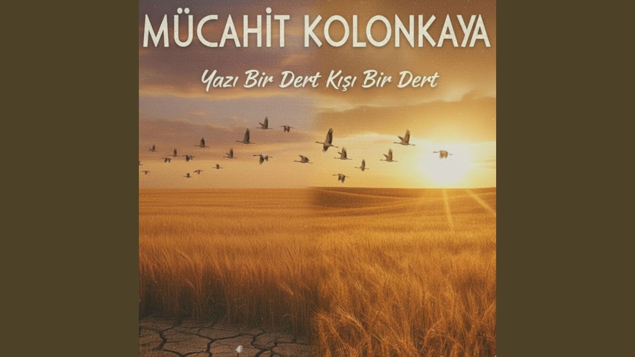 Yazı Bir Dert Kışı Bir Dert