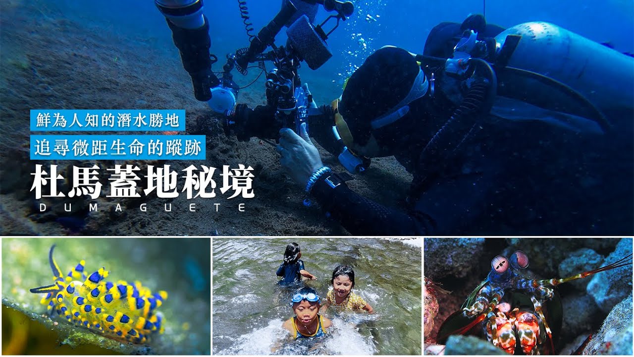 Diving Dumaguete菲律賓杜馬蓋地水下微距秘境（4k版）