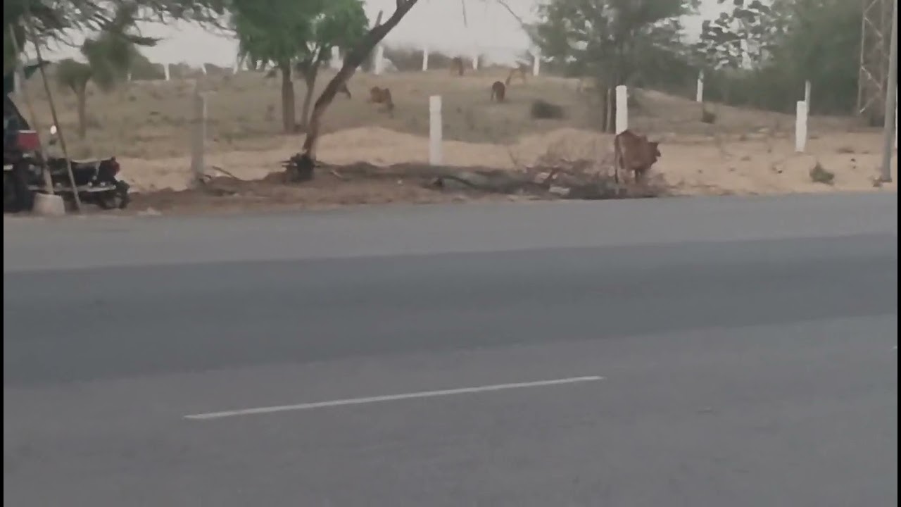 Dungrgad se 15 km dur NH 11 par  toll ke pas  16 biga jamin bikau h rs 42 lakh par biga  9610056834.