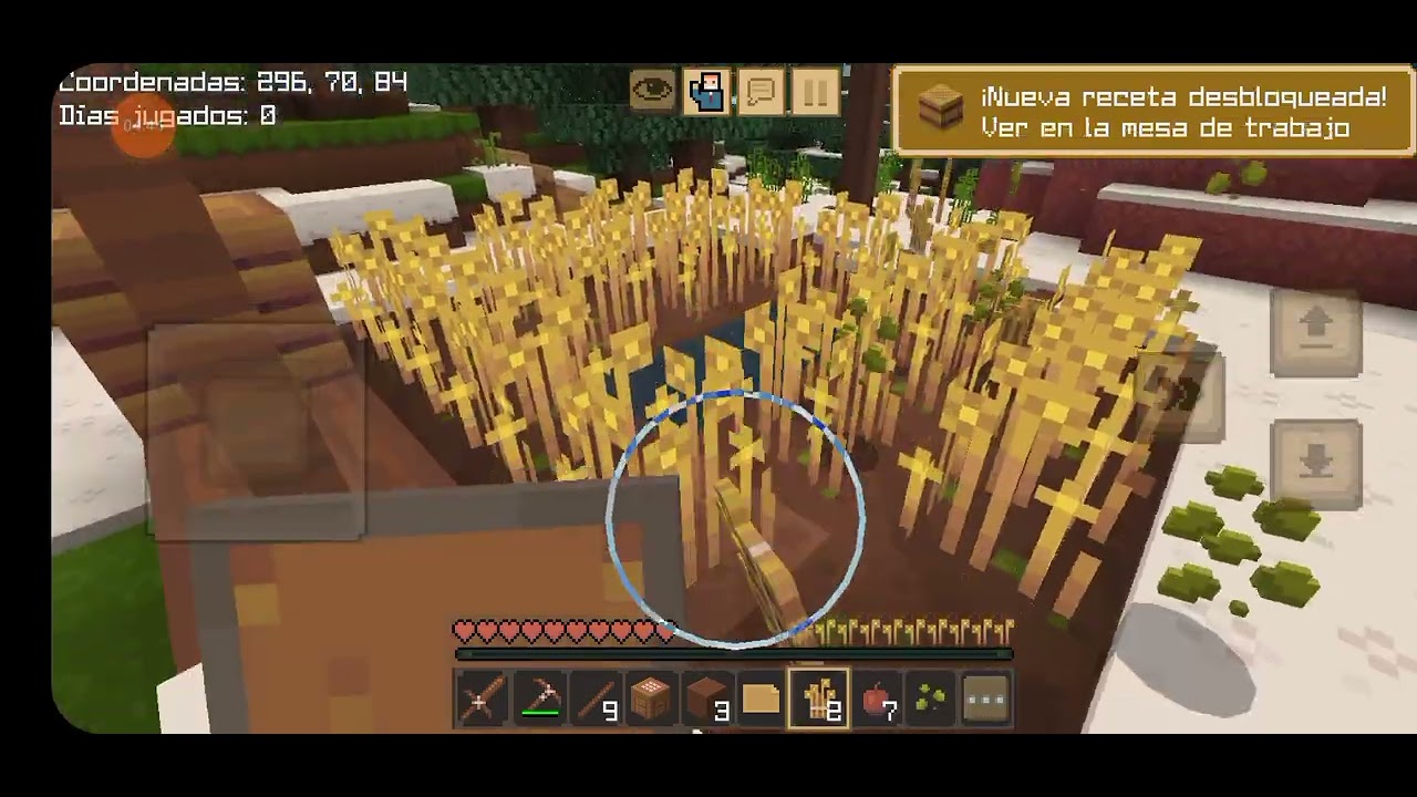Jugando Minecraft no es el comprado 