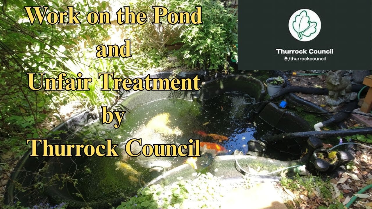 Work on the Pond and a moan about Thurrock Council 