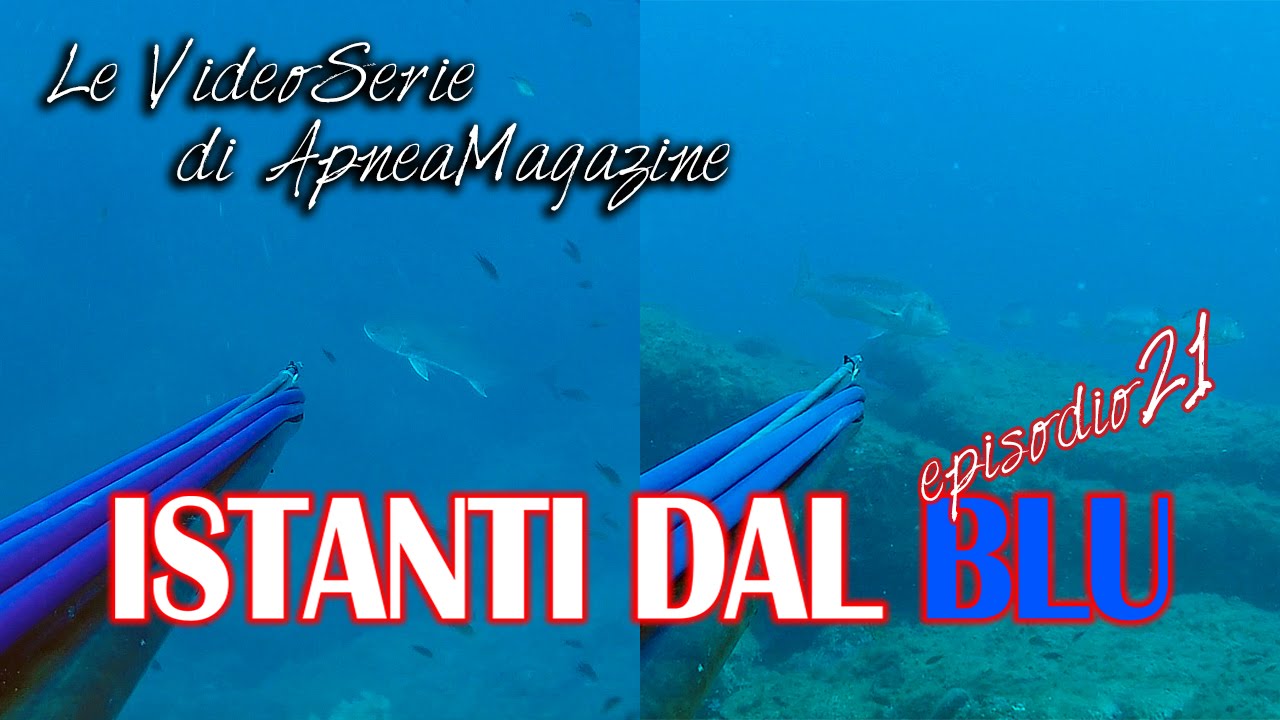 Pescasub: Denticioni padellati e Ricciolona strappata - Apnea Magazine