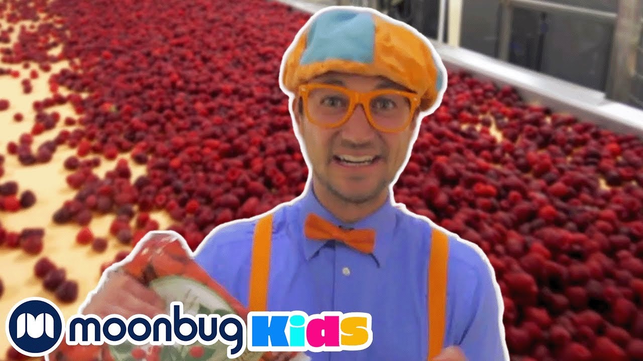 Blippi Visits a Raspberry Factory | Blippi | Kids Songs | Moonbug Kids