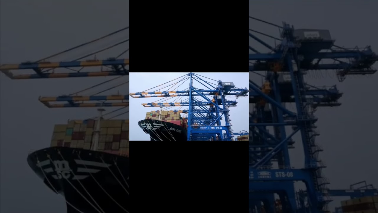 MSC EMA