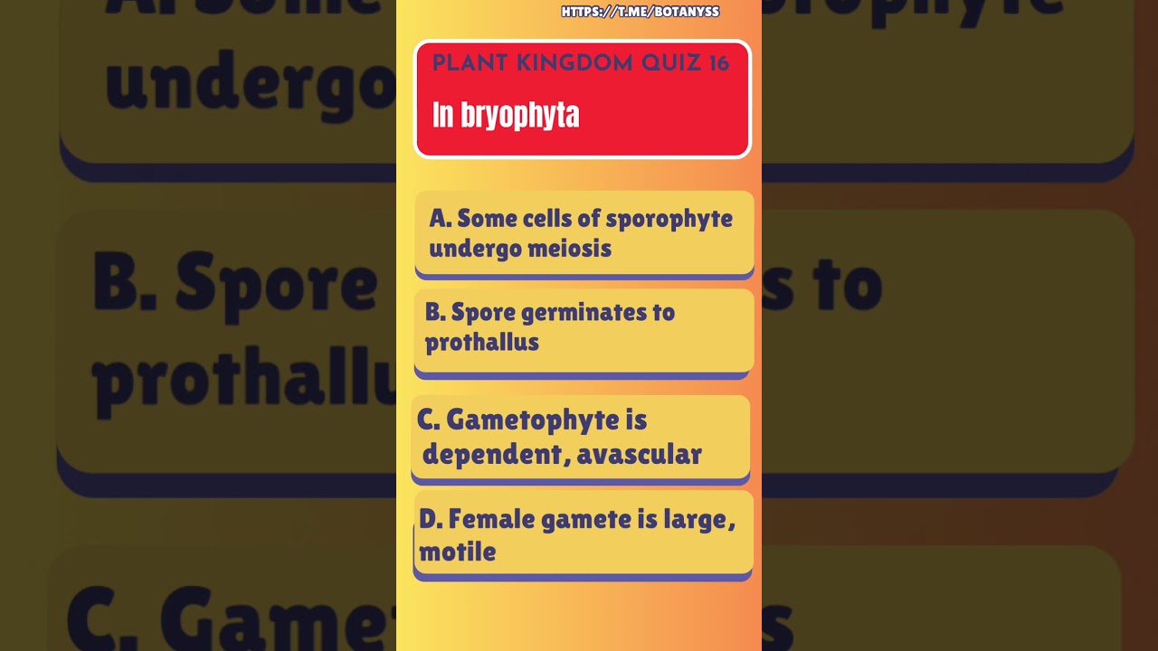 Quiz 16 Plant kingdom 