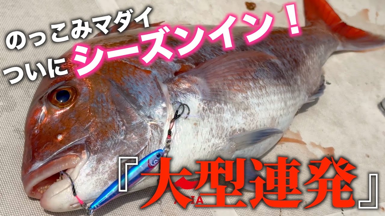 【宮城釣り】仙台湾マダイ爆釣シーズンイン！！60アップ連発！