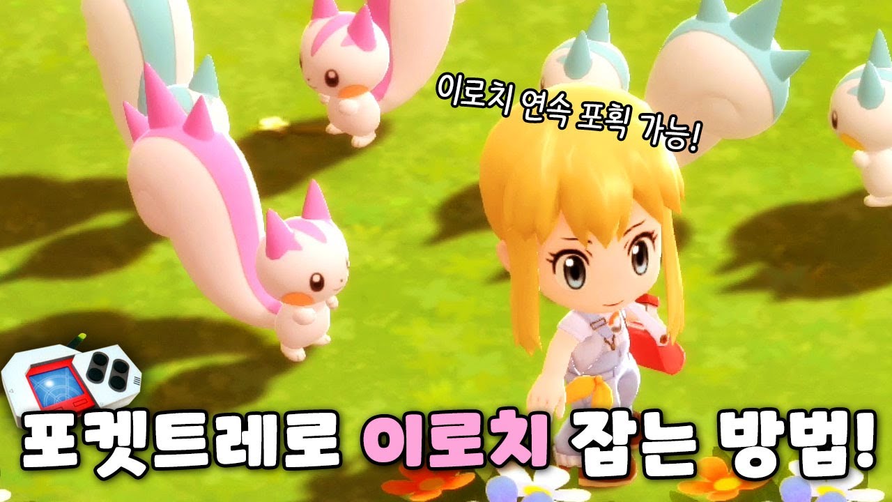 포켓트레? 포케트레? 무튼 이걸로 이로치 파치리스 두마리 가져갑니다 ^^7 l 포켓몬스터 브릴리언트 다이아몬드·샤이닝 펄