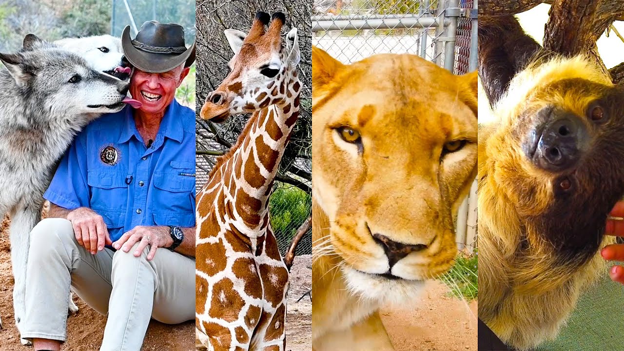 Cute Animals of Arizona at Out of Africa Wildlife Park | Part 1
