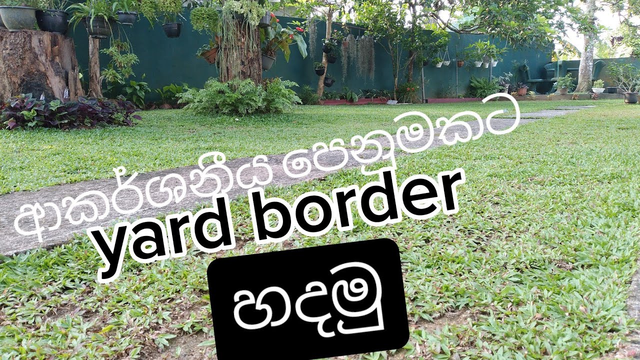 මිදුලේ ආකර්ශනීය  පෙනුමක් ගනිමු let's maked a border for the yard #beautygarden #gardenborder#fyp