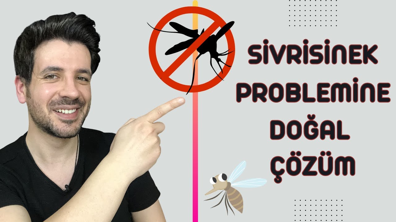 Sivrisinek Sorununa Kesin Çözüm - Doğal Sivrisinek Kovucu Yapımı