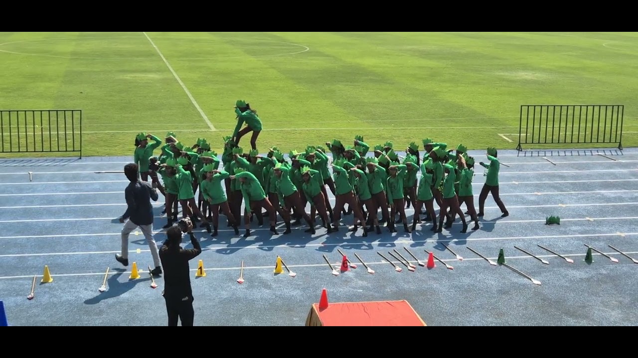 Chennai vista billabong sports day2025 save nature:)2