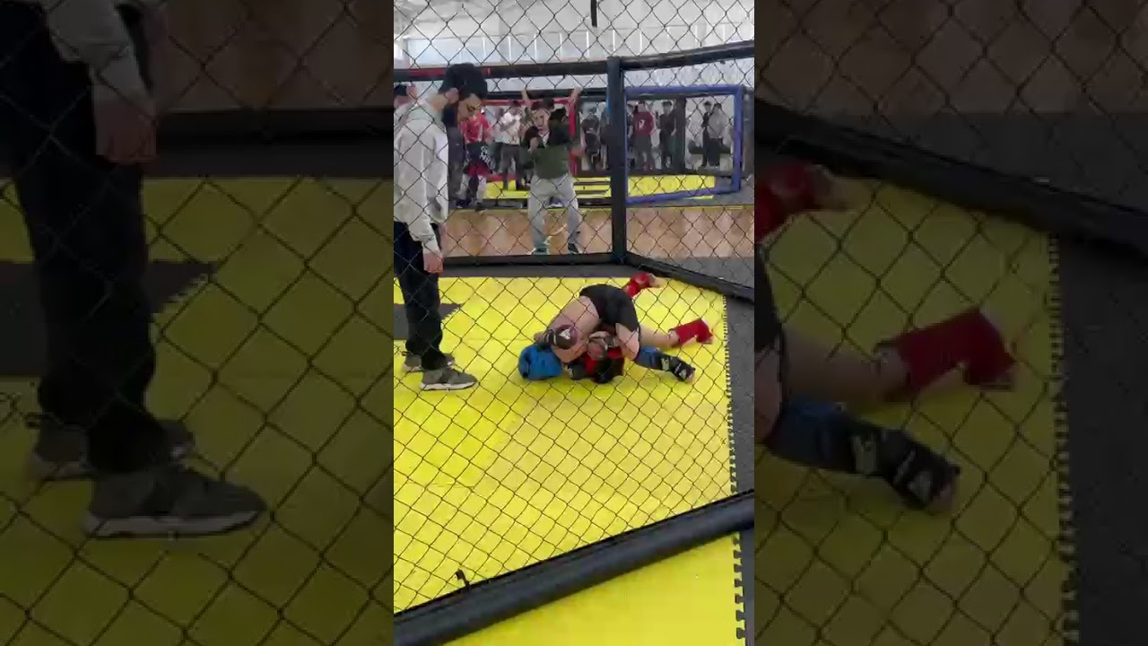 #мма#mma 