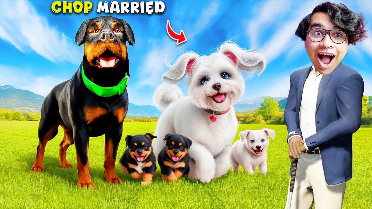 GTA V : Franklin Found Chop's Secret Marriage And Puppies || Professor Of Pc Gaming