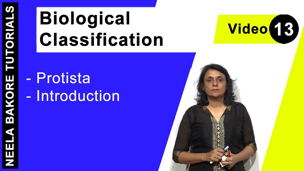 Biological Classification | NEET | Protista - Introduction | Neela Bakore Tutorials