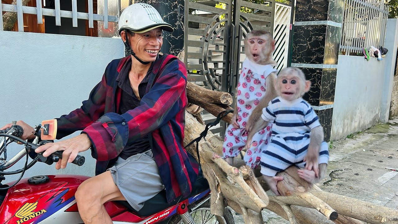 Dad took Tina and Xuka to prepare to build a stilt house to help them get closer to nature.
