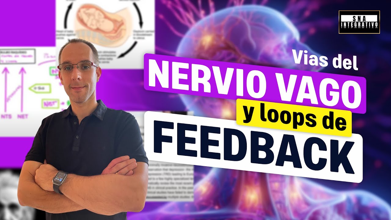 DESCUBRE AHORA: Cómo las VIAS del NERVIO VAGO y sus LOOPS de FEEDBACK TRANSFORMAN la CLÍNICA.