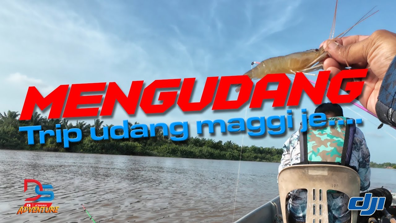 Trip udang maggi