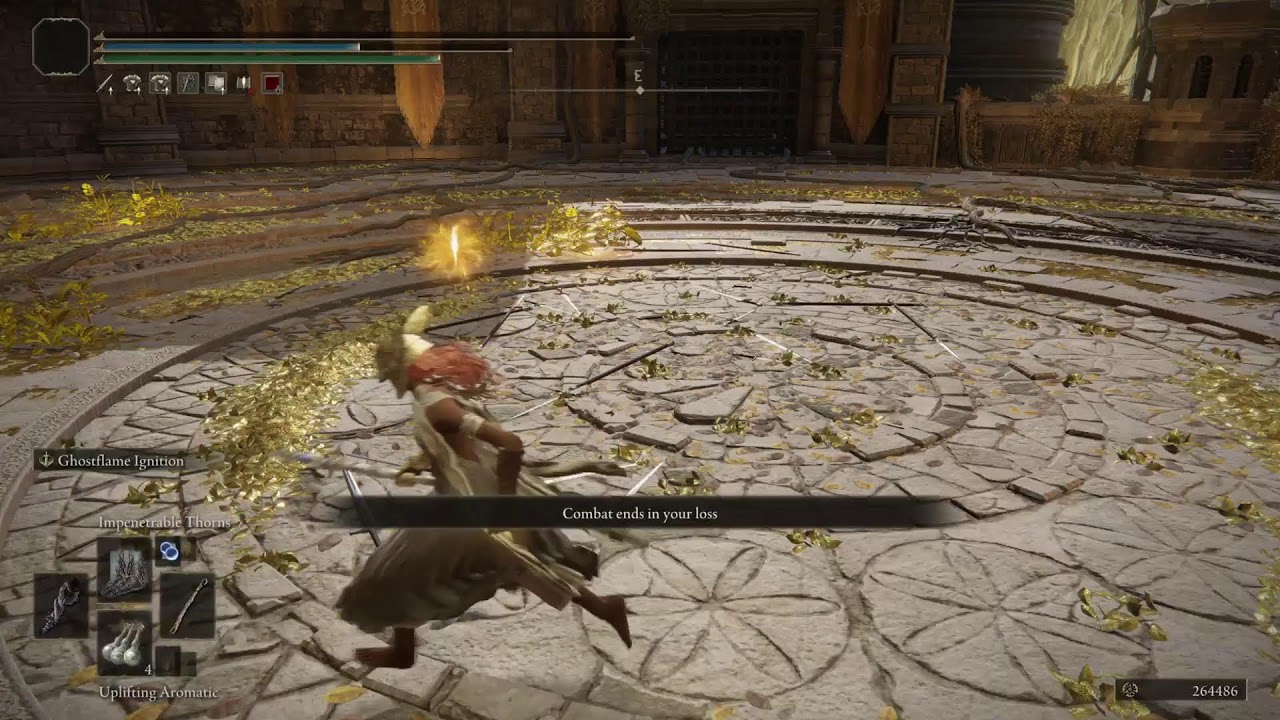 Eldenring pvp 1vs1