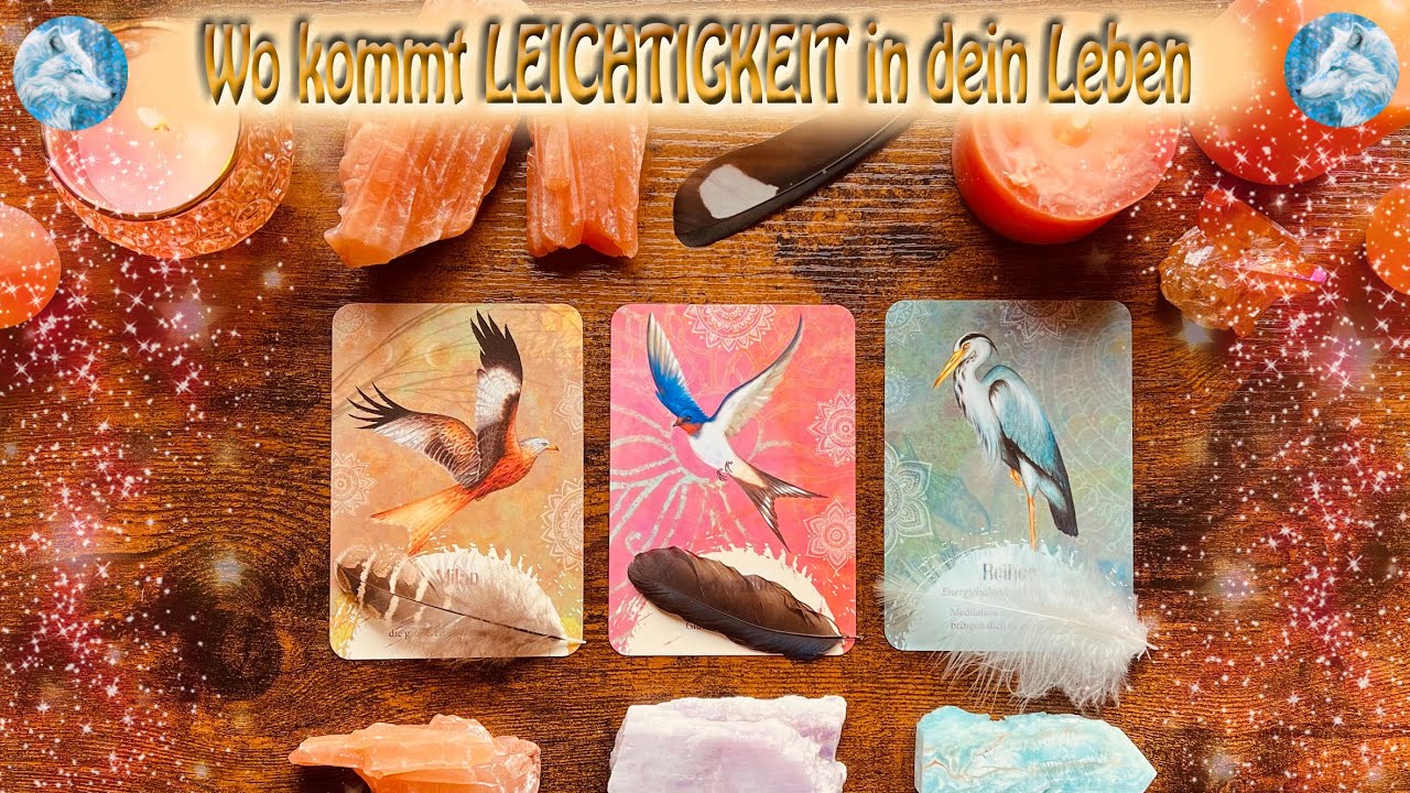 🐺Wo kommt LEICHTIGKEIT🪶in dein Leben🐺unboxing🪶Auswahlorakel ☆ Tarot☆zeitlos