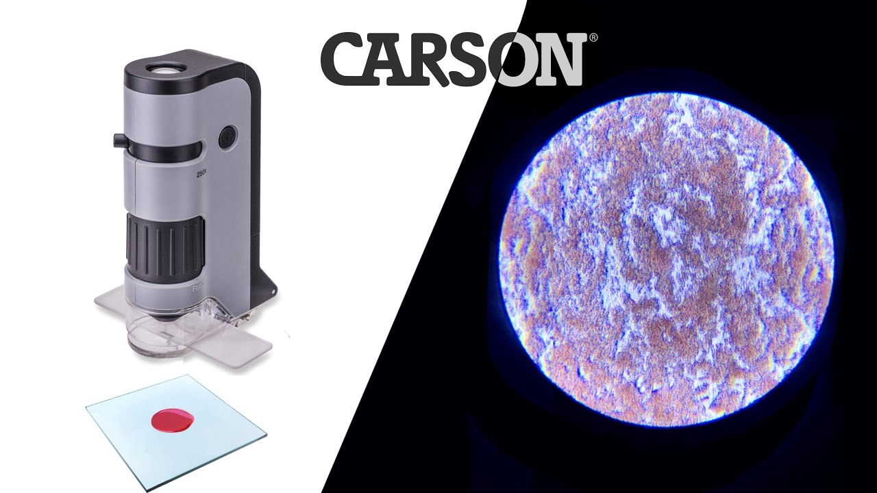 Carson Microflip 100-250x High Power Pocket  Microscope