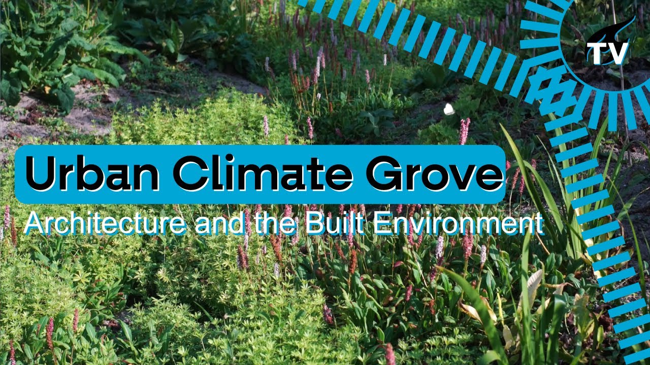 Urban Climate Grove - Architecture and the Built Environment