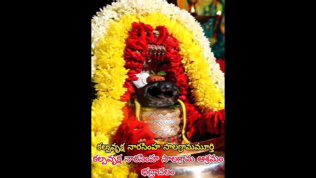 Kalpavriksha Narasimha Salagrama Murthy, Bhadrachalam..