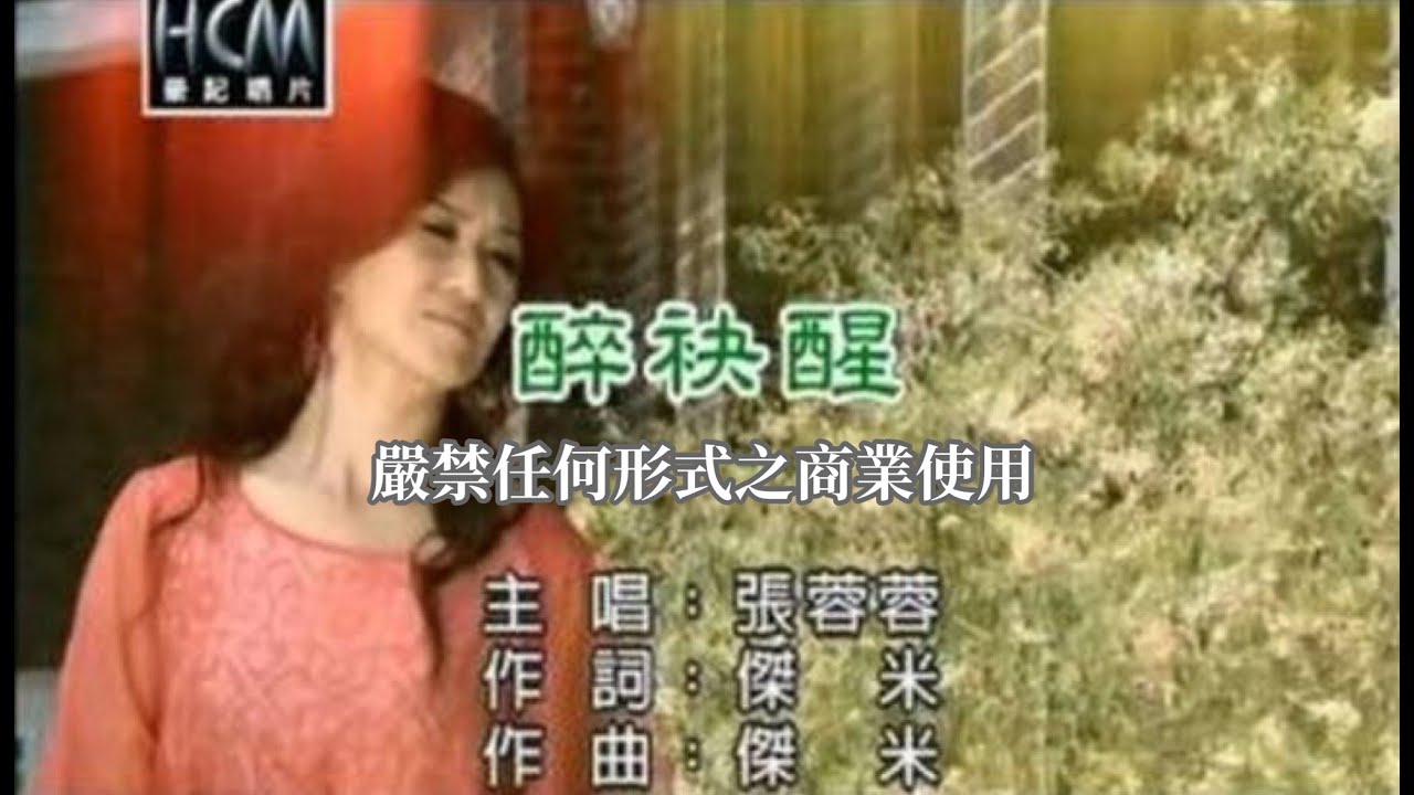 張蓉蓉-醉袂醒(官方KTV版)