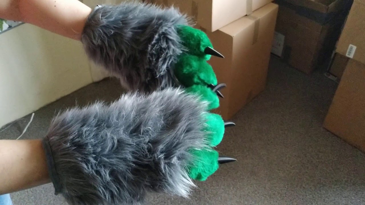 Lynx paws