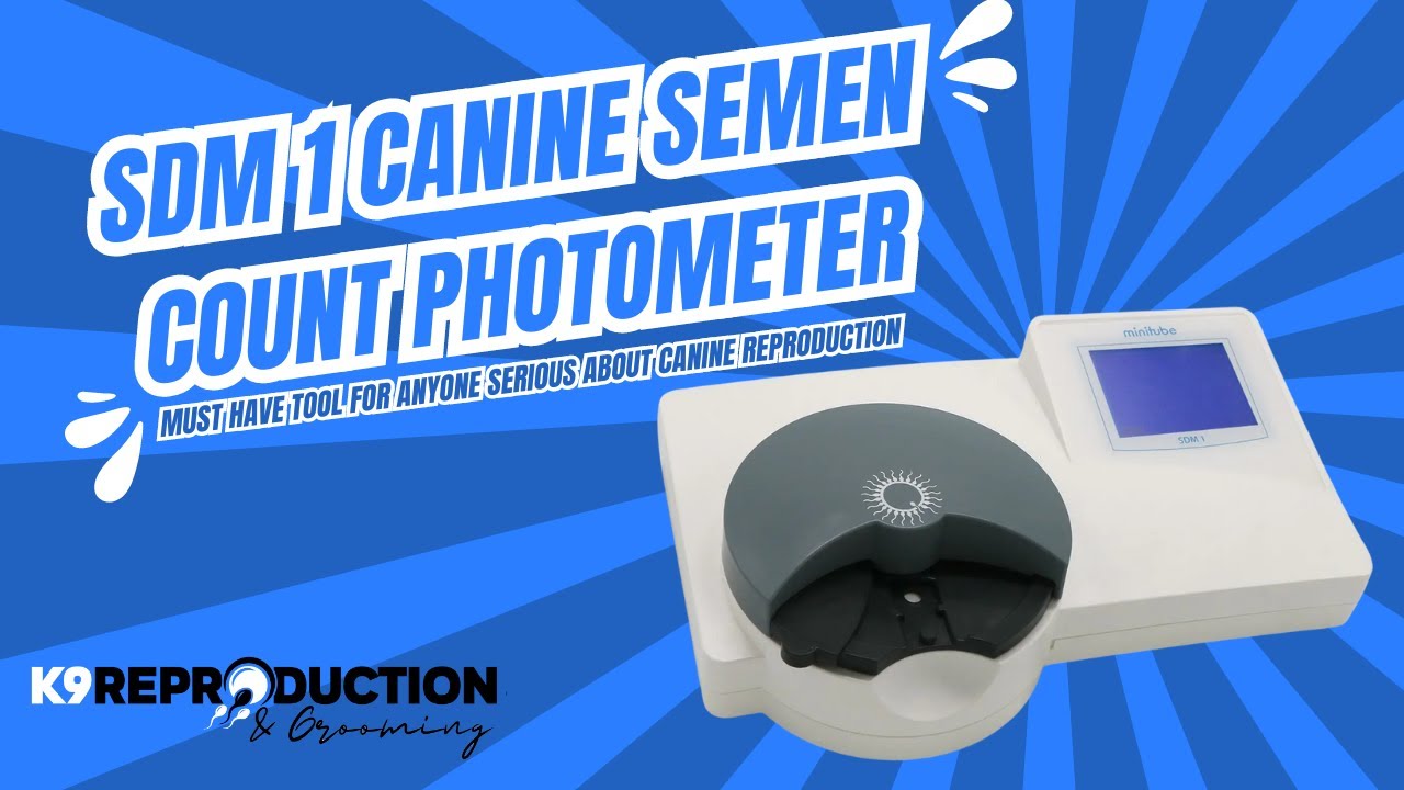 Minitube SDM 1 Canine Semen Photometer &ndash; Accurate Semen Analysis for Dog Breeding