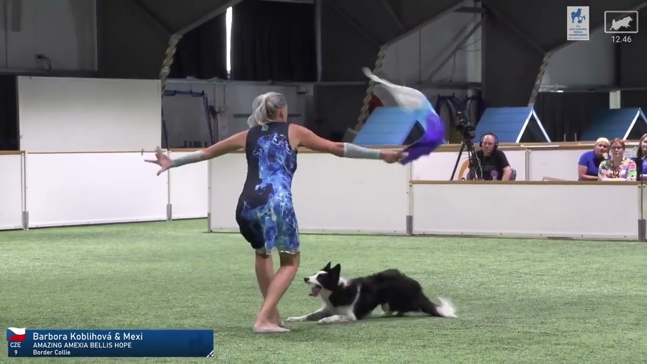 Bára & Mexi - FCI Dog Dancing World Championship, Finland 2025