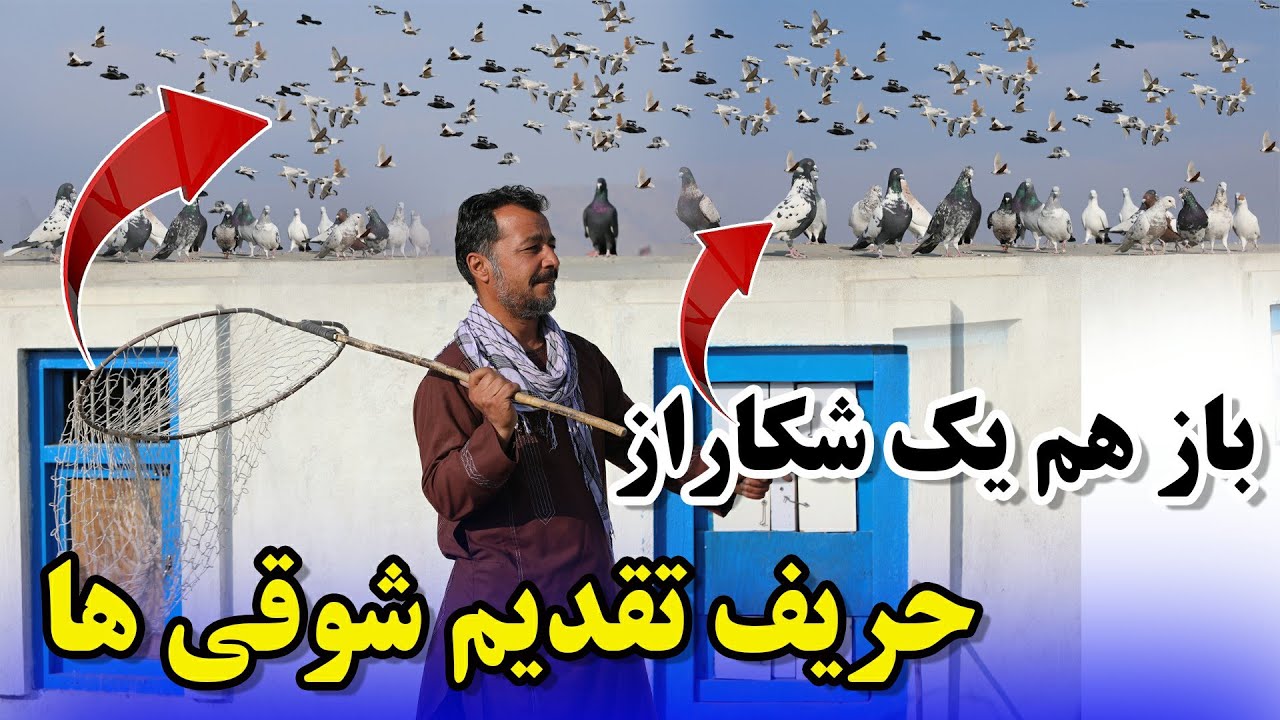 باز هم یک شکار ازحریف تقدیم شوقی ها /058Afghan Shawqi