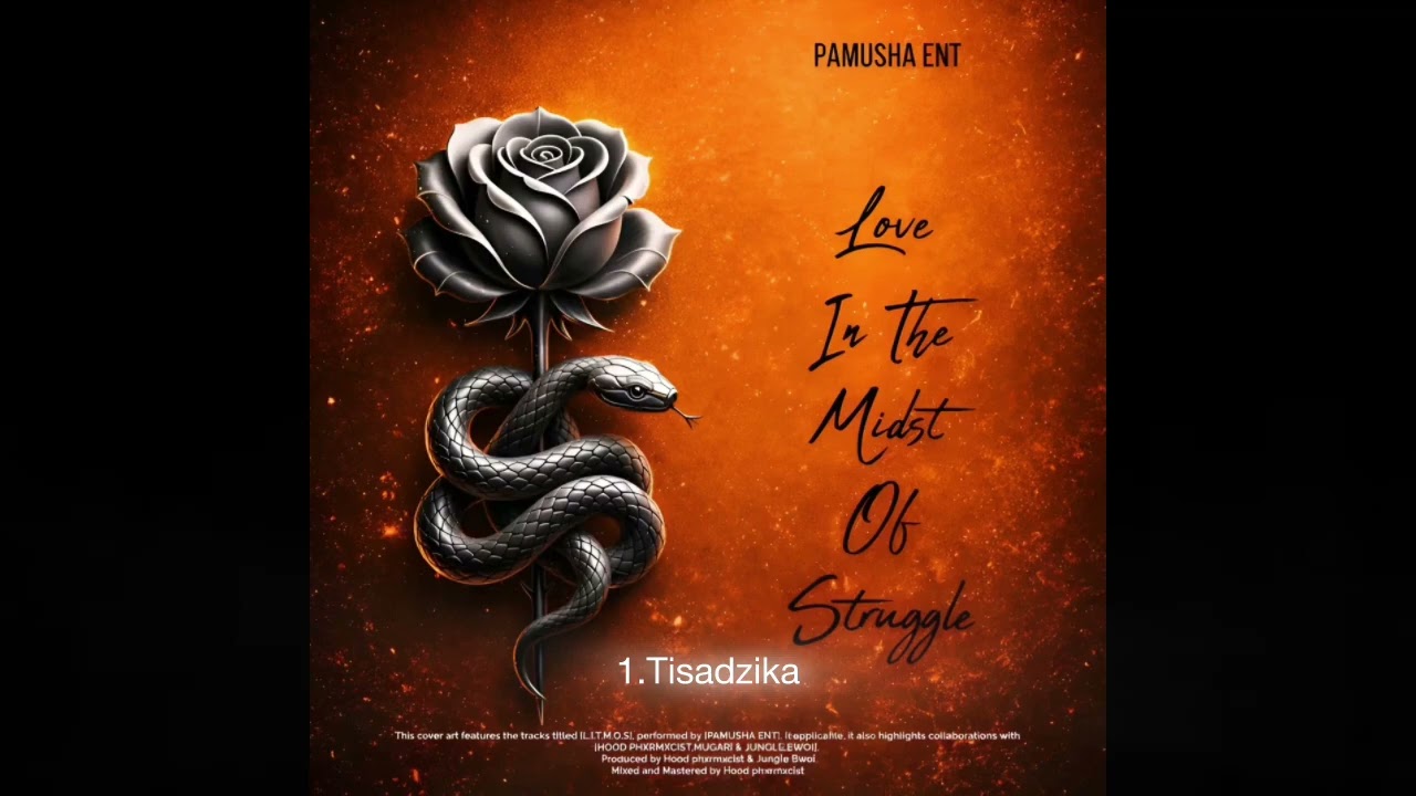 Hood Phxrmxcist & Mugari - Tisadzika Visualizer (Love In The Midst Of Struggle Ep)