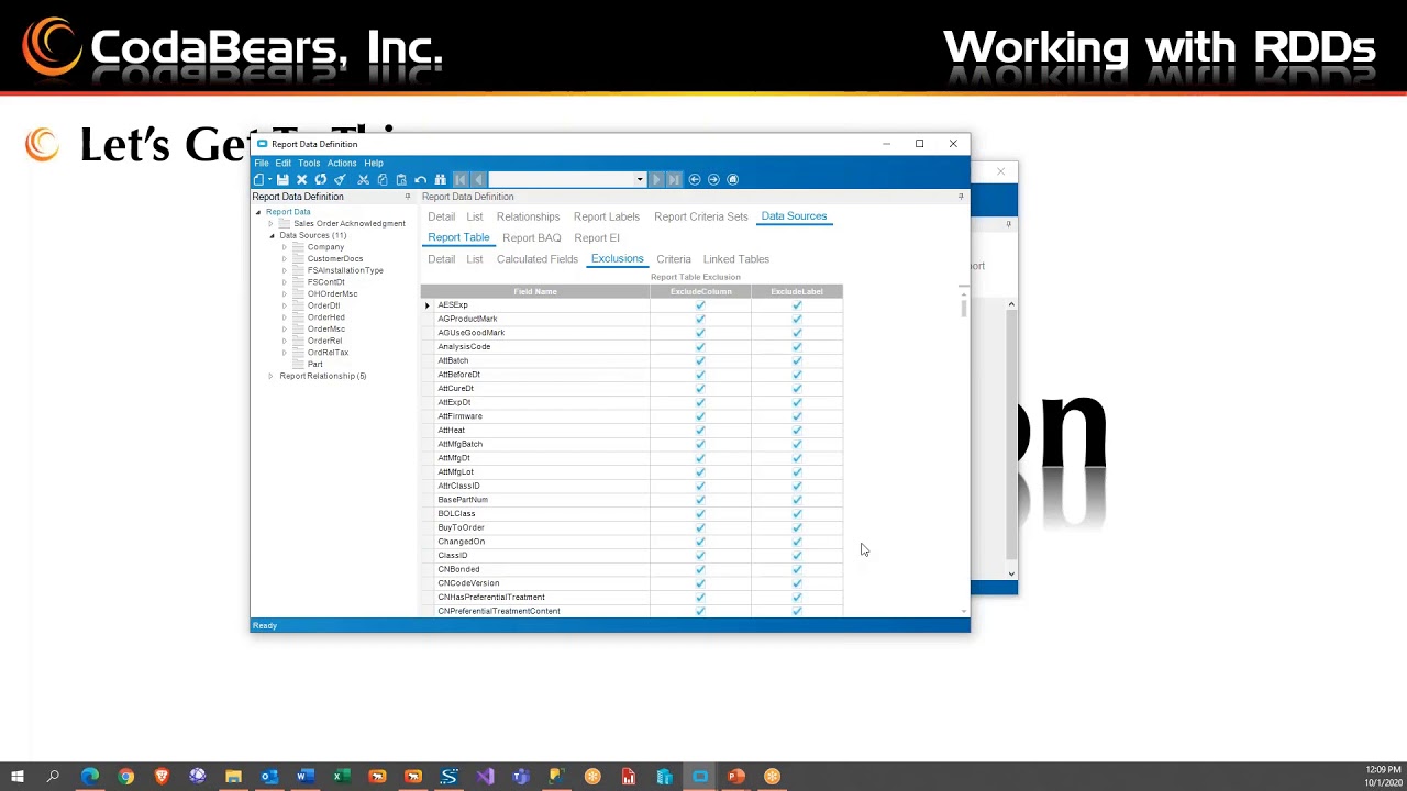 Report Data Definition