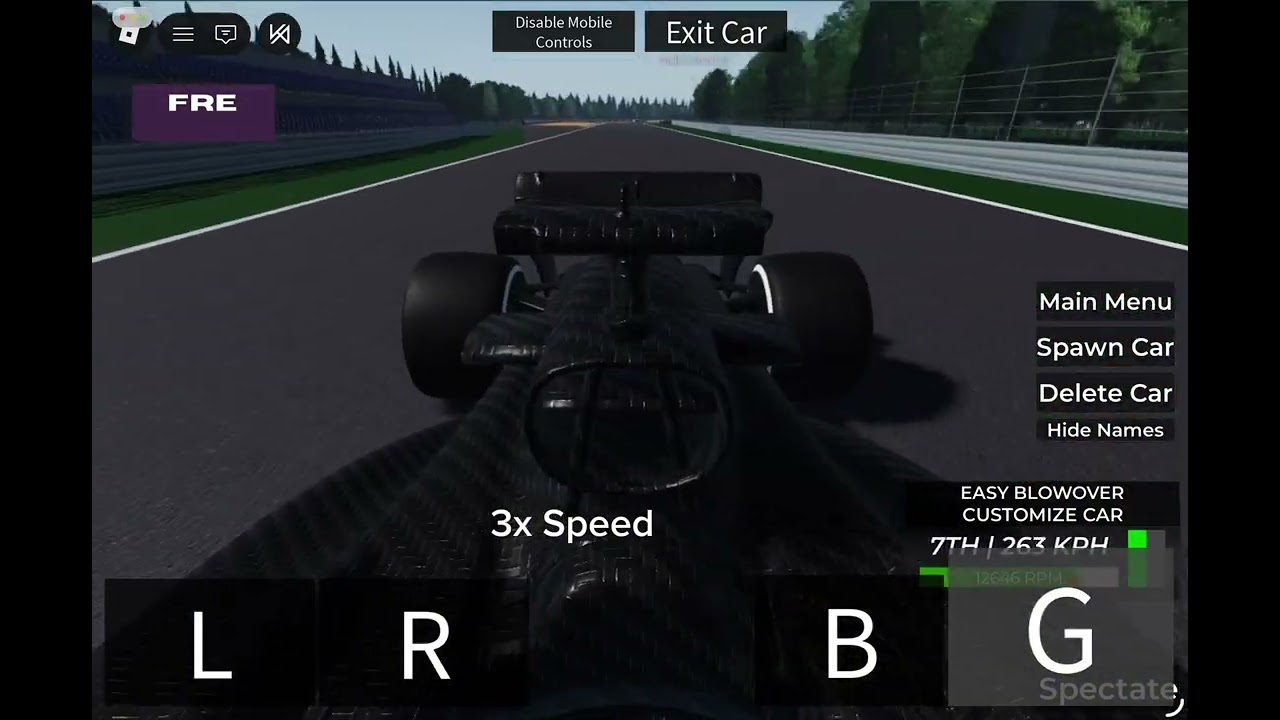 Formula Racing Expeirience