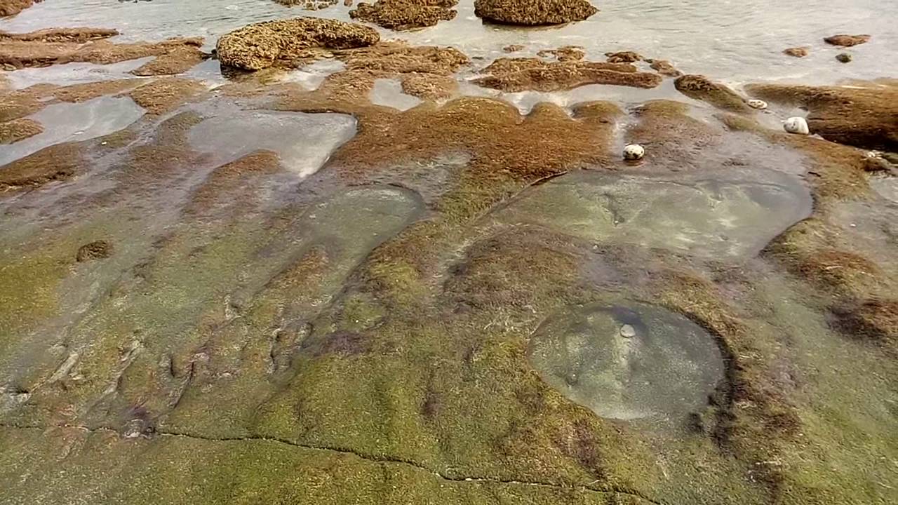 Pantai pehpulo