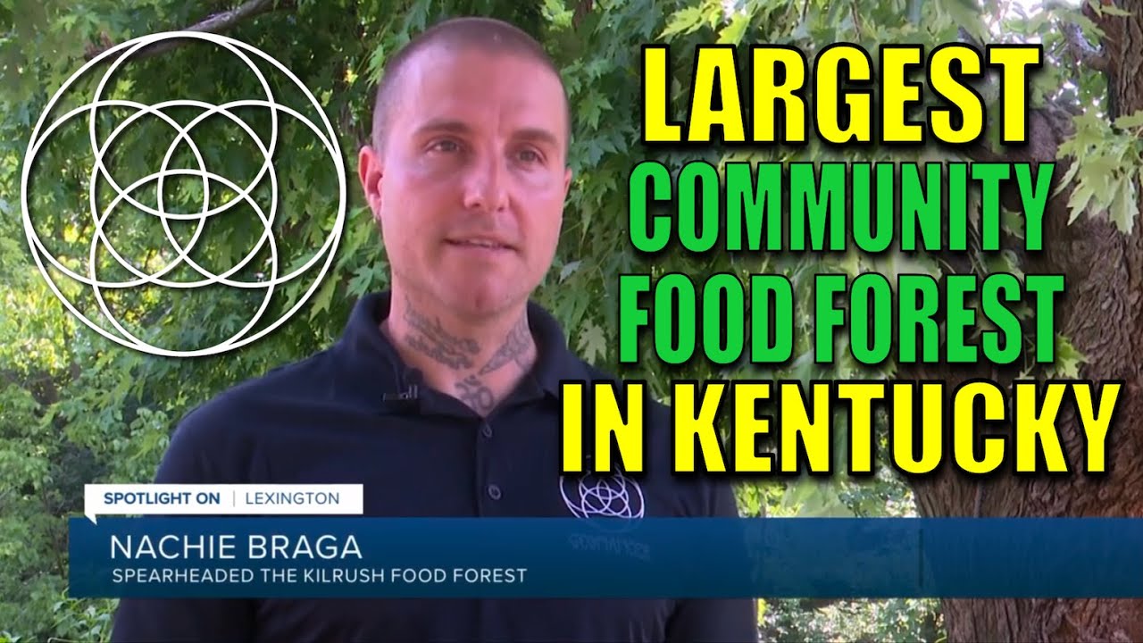 Urban Revitalization With Food Forests (Kilrush Food Forest 2025)
