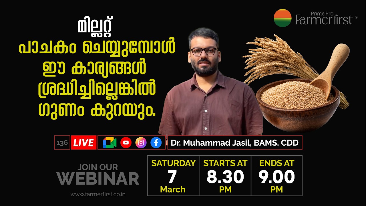 മില്ലറ്റ് പാചകം ചെയ്യുമ്പോൾ ഈ കാര്യങ്ങൾ ശ്രദ്ധിച്ചില്ലെങ്കിൽ ഗുണം കുറയും