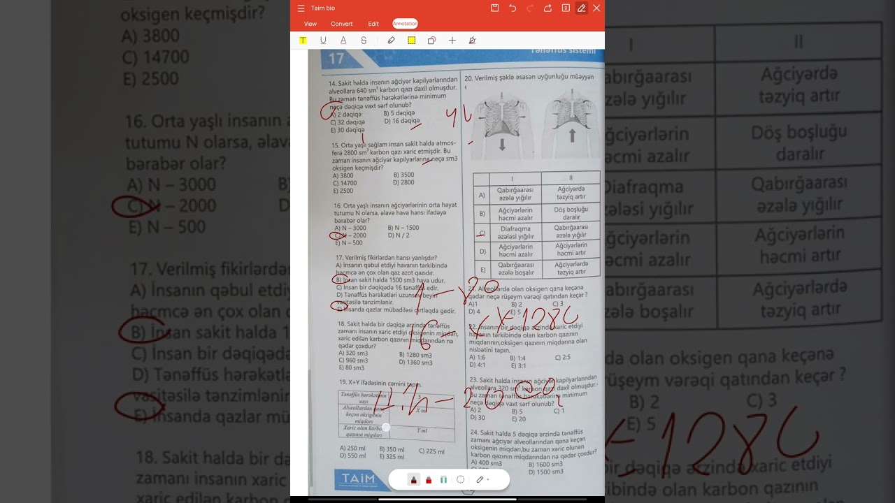 Taim test bankı.Tənəffüs sistemi