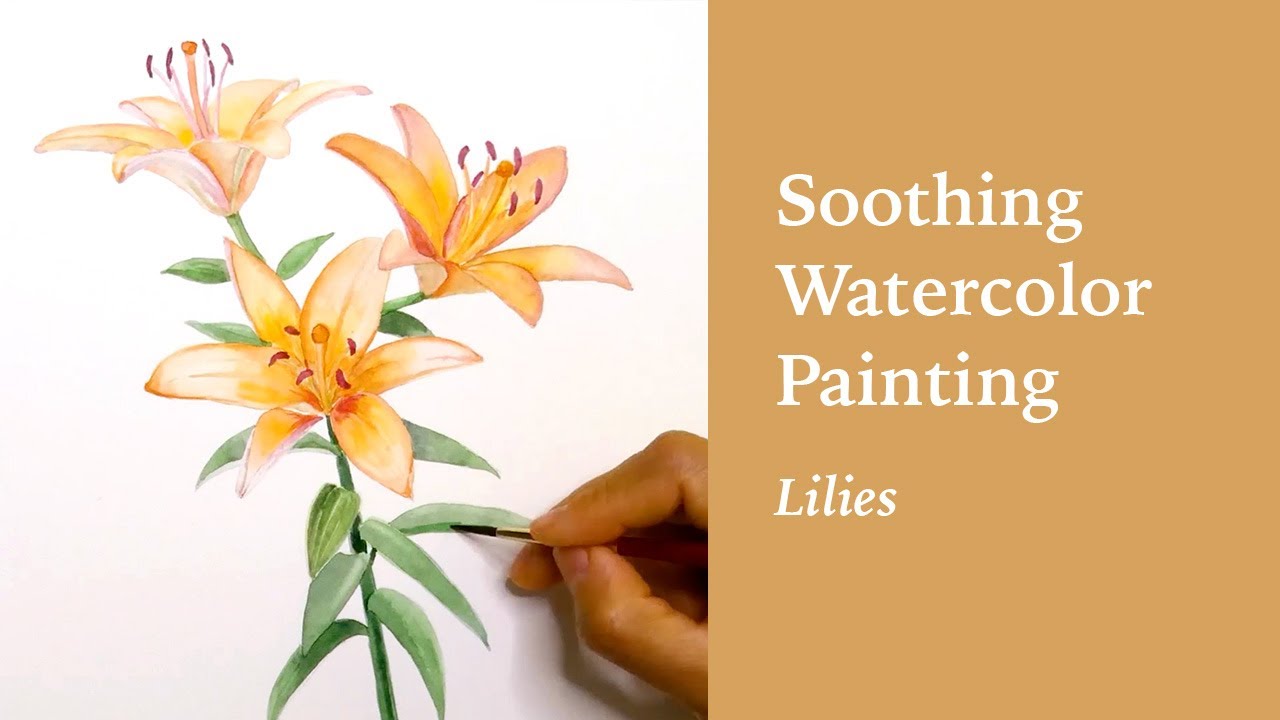 Soothing watercolor speed painting: lilies