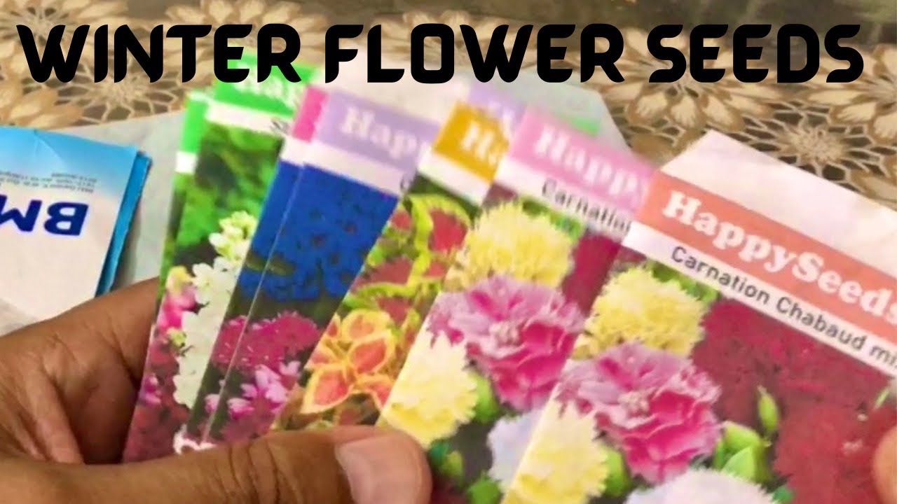 Seed purchased on line from happy seed shop- Urdu/Hindi