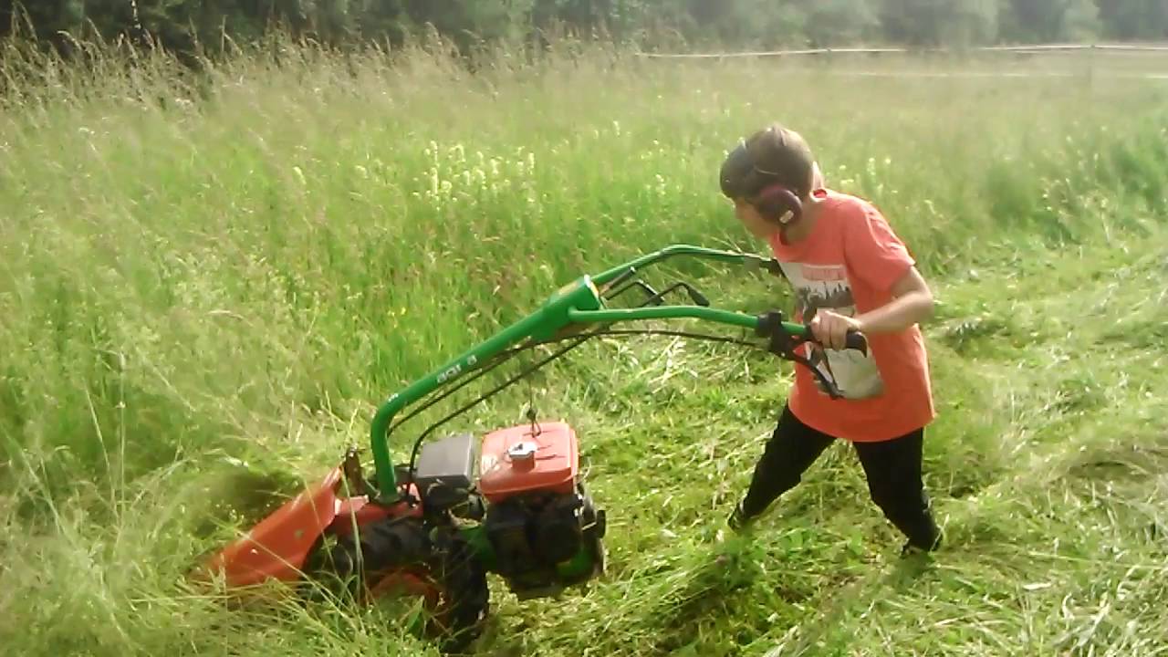Agria 3600 beim koppel Mähen  06,2016