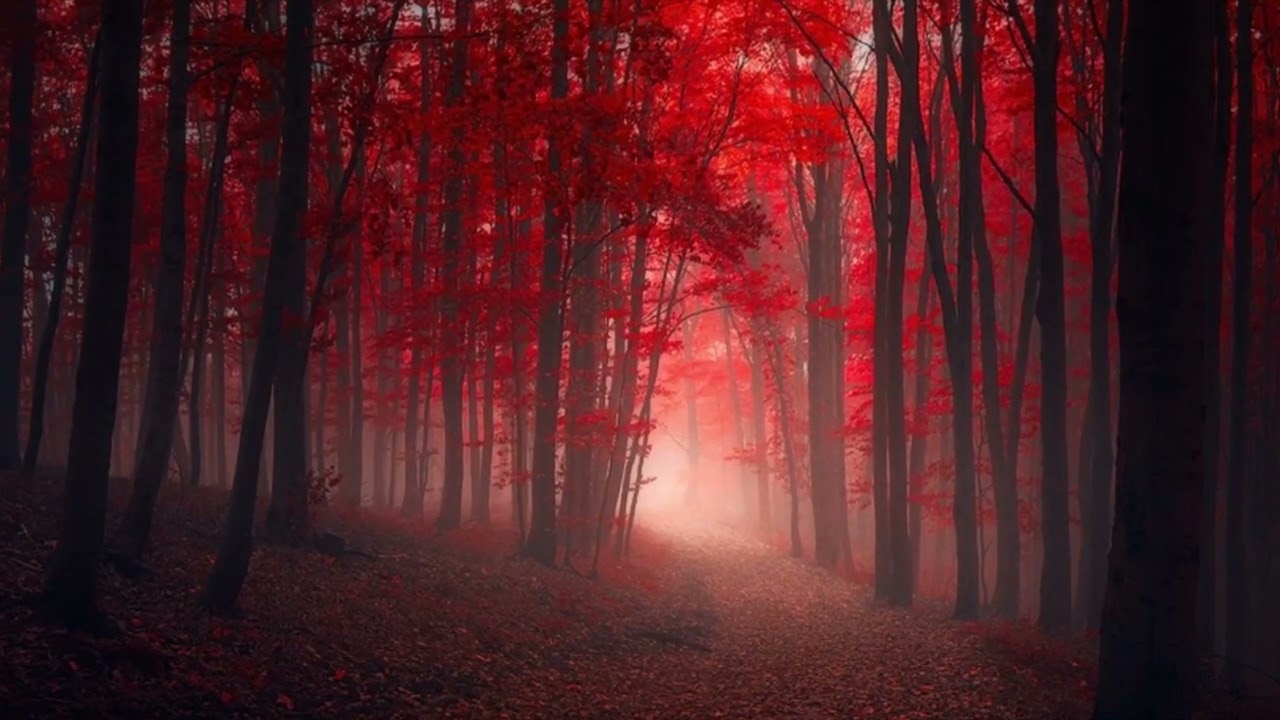 MASSIMO SPAGNA - Pioggia d'Autunno