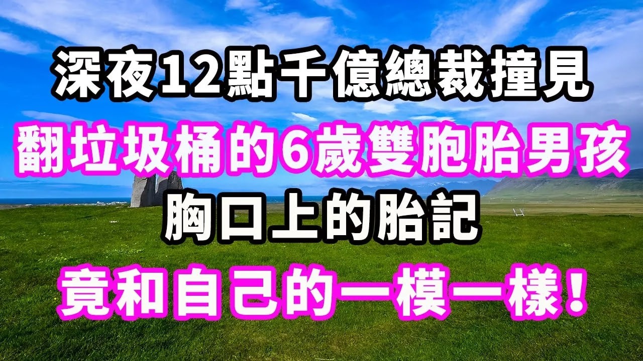 深夜12點，千億總裁撞見翻垃圾桶的6歲雙胞胎男孩，胸口上的胎記竟和自己的一模一樣！#爽文#大女主#現實情感#家庭