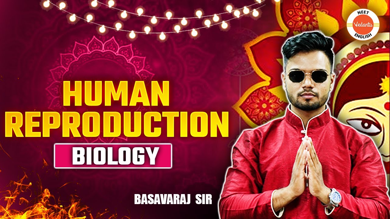 Human Reproduction | Navratri Series Day 6 | Therory + PYQs Class 12 | NEET 2025 BIOLOGY