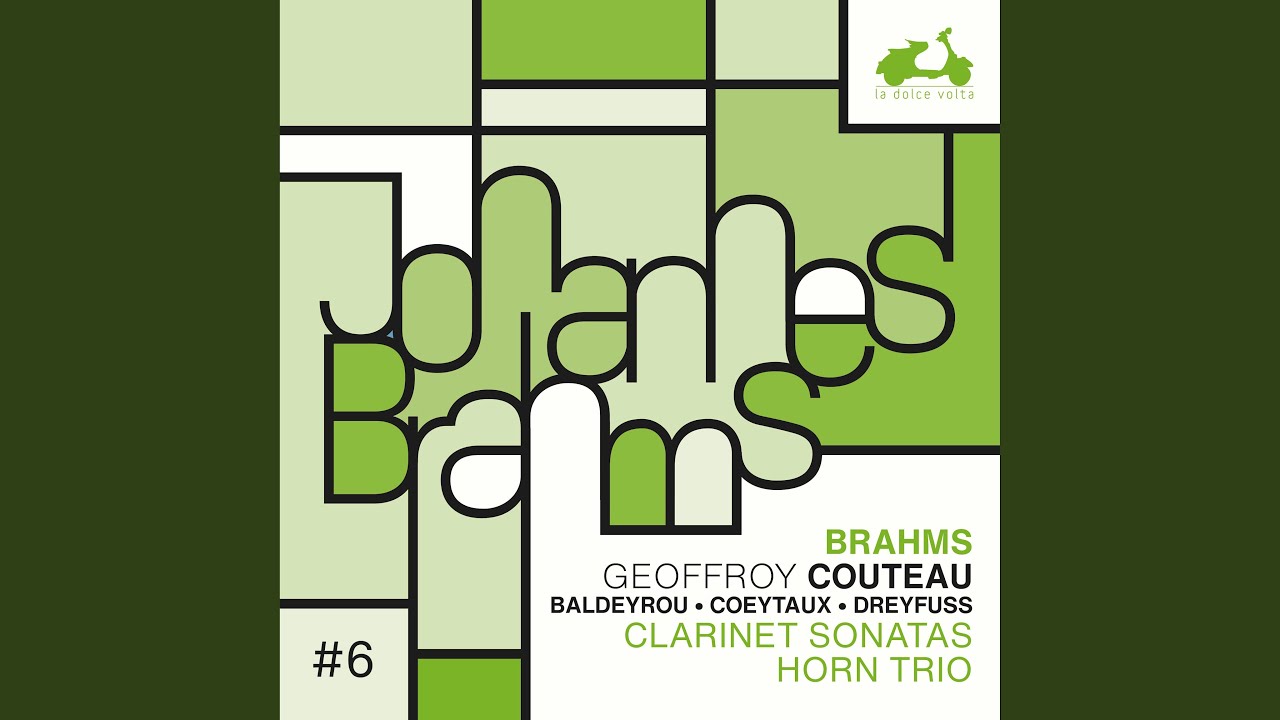 Sonata for Clarinet and Piano No. 2 in E-Flat Major, Op. 120 No. 2: II. Allegro appassionato