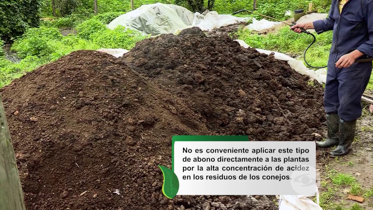 Aprenda a fertilizar los suelos con el estiércol de conejo | La Finca de Hoy